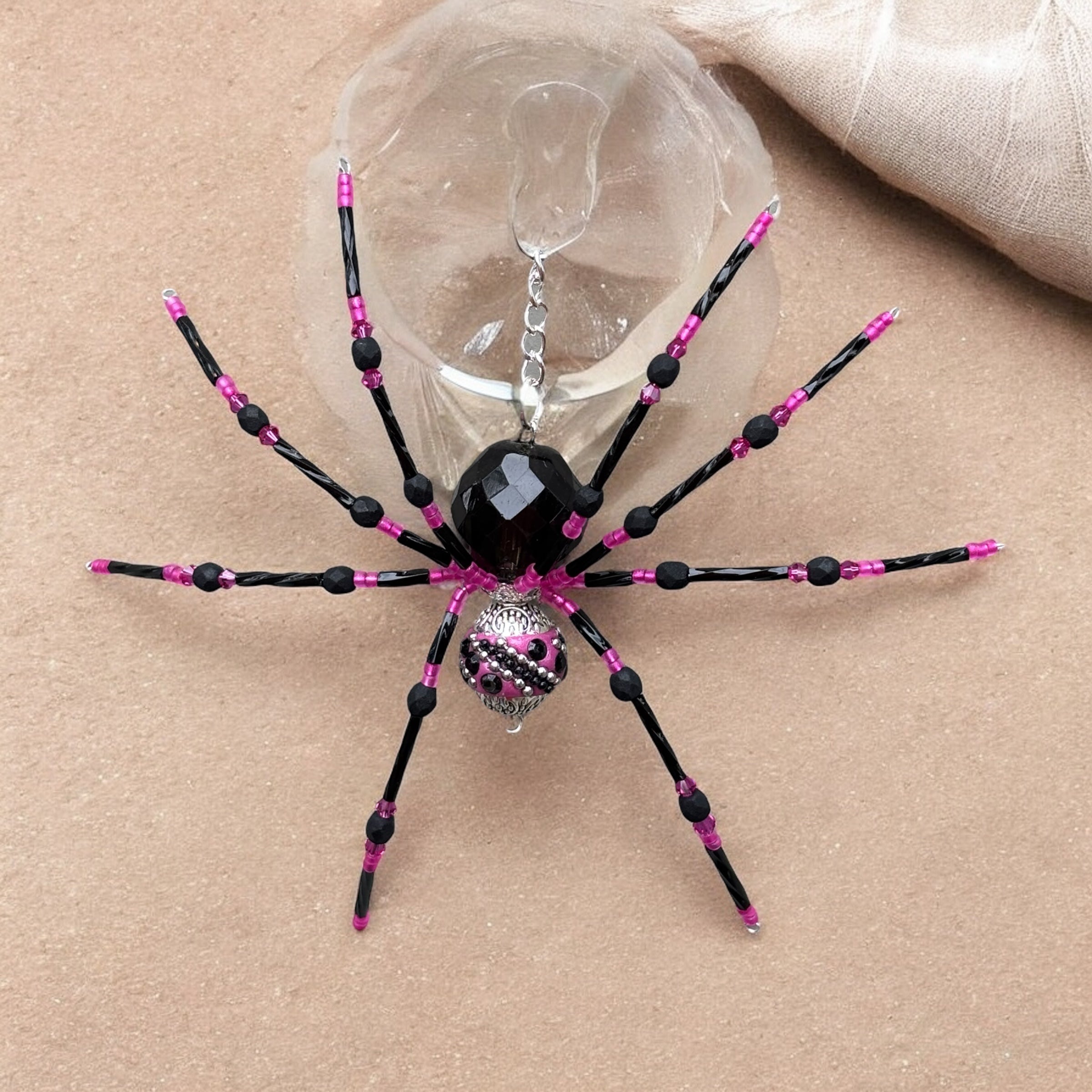 Hot Pink/Black garden spider | The Spider Lady